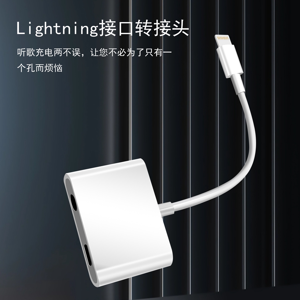 蘋果轉(zhuǎn)接頭